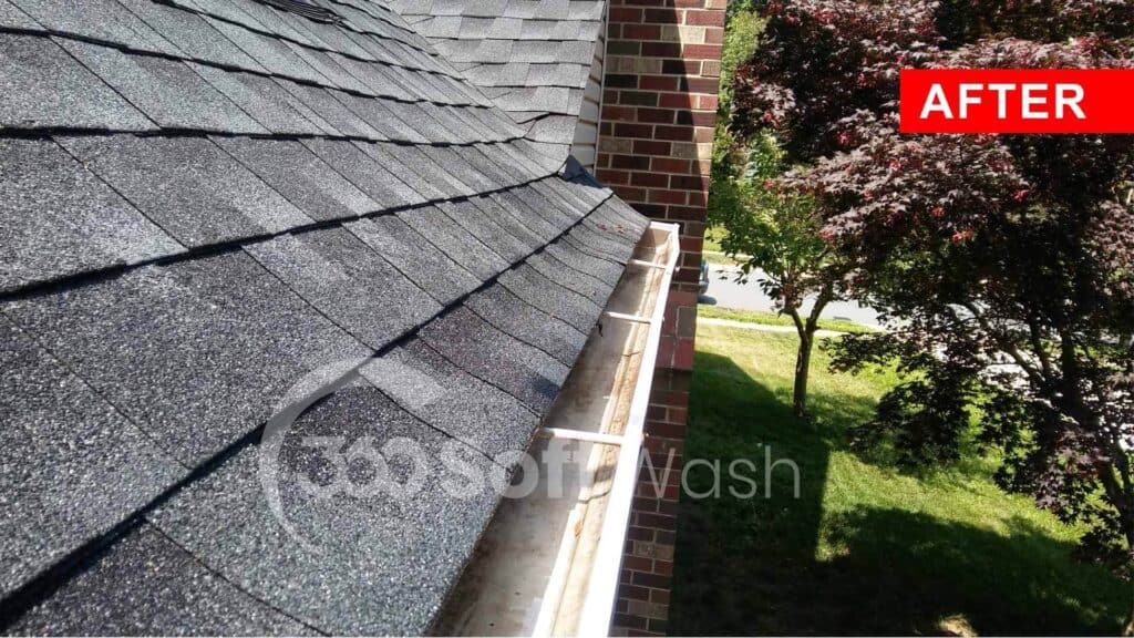 Gutter Cleaning Services 3 Gutter Cleaning Services 3