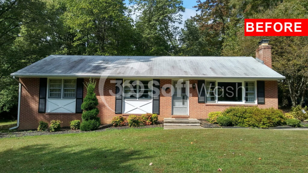 Roof Washing Bel Air MD