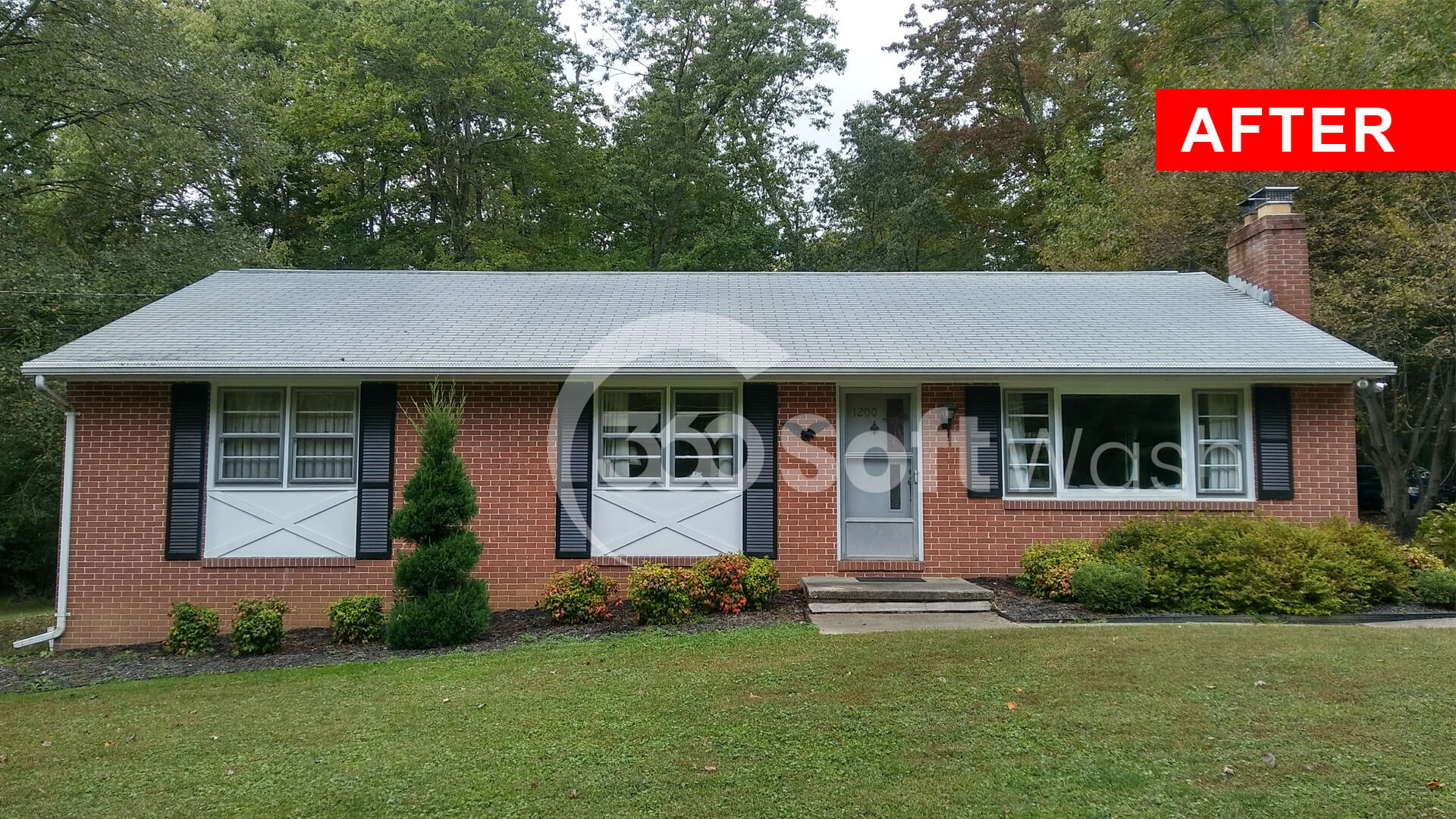 Roof cleaning Bel Air MD